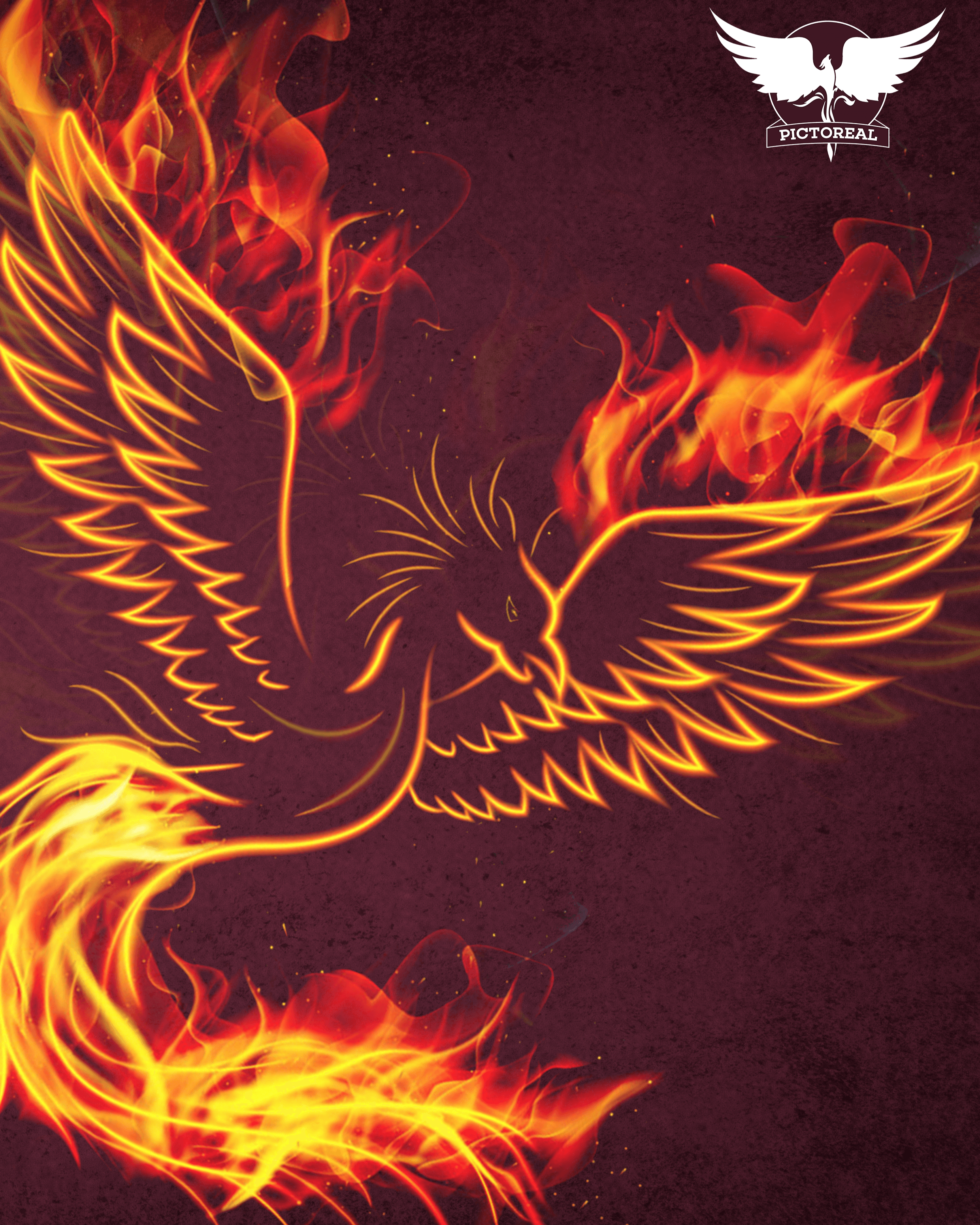 Phoenix cover